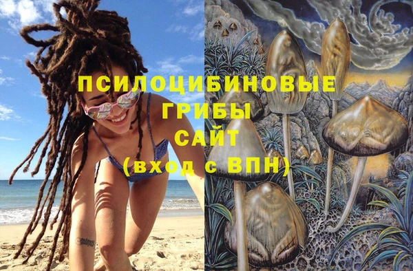 a pvp Корсаков