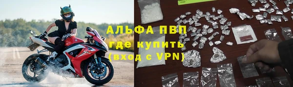 гашик Коряжма