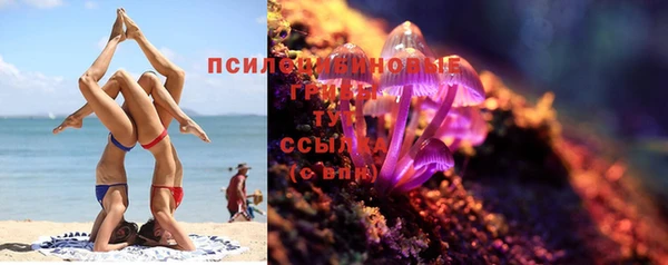 ECSTASY Кодинск
