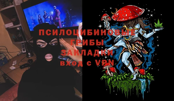 ECSTASY Кодинск
