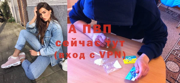 ECSTASY Кодинск