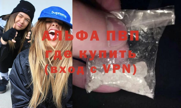гашик Коряжма