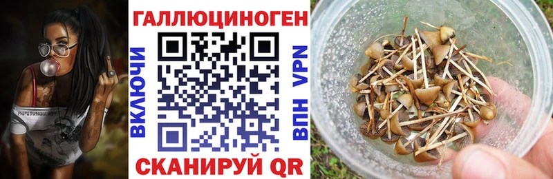 сайты даркнета формула  купить закладку  Касли  Псилоцибиновые грибы прущие грибы 